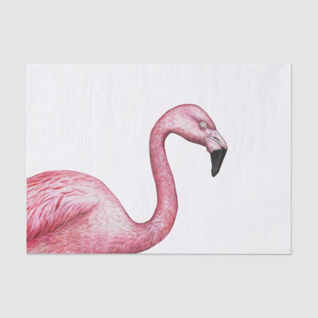 Papel De Seda El flamenco (Anverso)