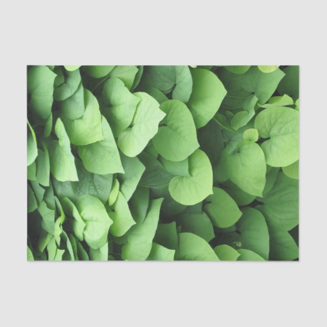 Papel De Seda El follaje verde del tubo de holandés (Anverso)