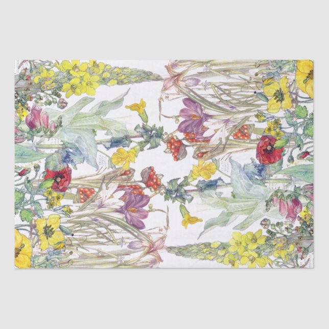 Papel De Seda El Foxglove del iris de la amapola del azafrán (Anverso)