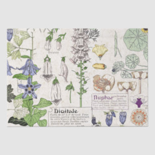 Papel De Seda El Foxglove francés de Nouveau del arte florece el