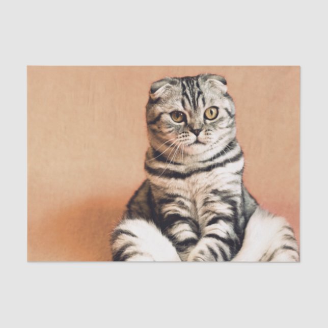 Papel De Seda El Gatito Cute Se Extiende (Anverso)