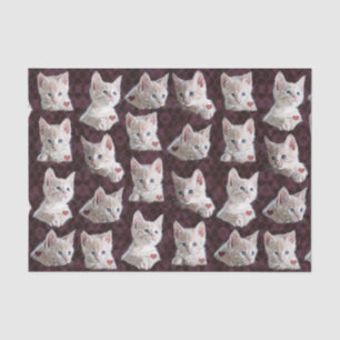 Papel De Seda El gato del gatito hace frente al modelo con