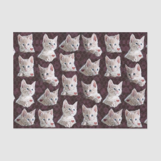 Papel De Seda El gato del gatito hace frente al modelo con (Anverso)