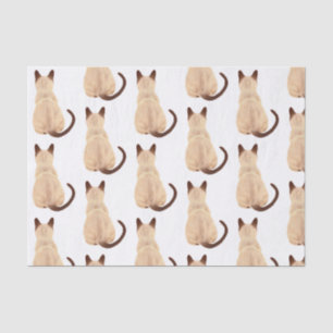 Papel De Seda El gato sasha siamés ama a Kitty mirando lejos de 