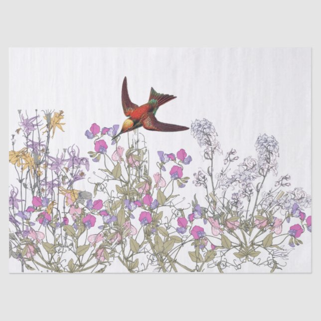 Papel De Seda El guisante de olor del pájaro del colibrí florece (Anverso)
