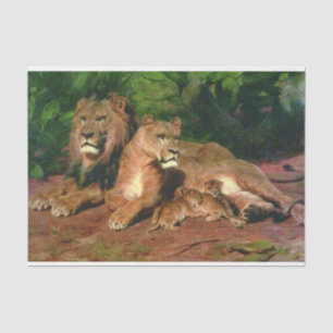 Papel De Seda El león en casa (con costillas de leona y león)