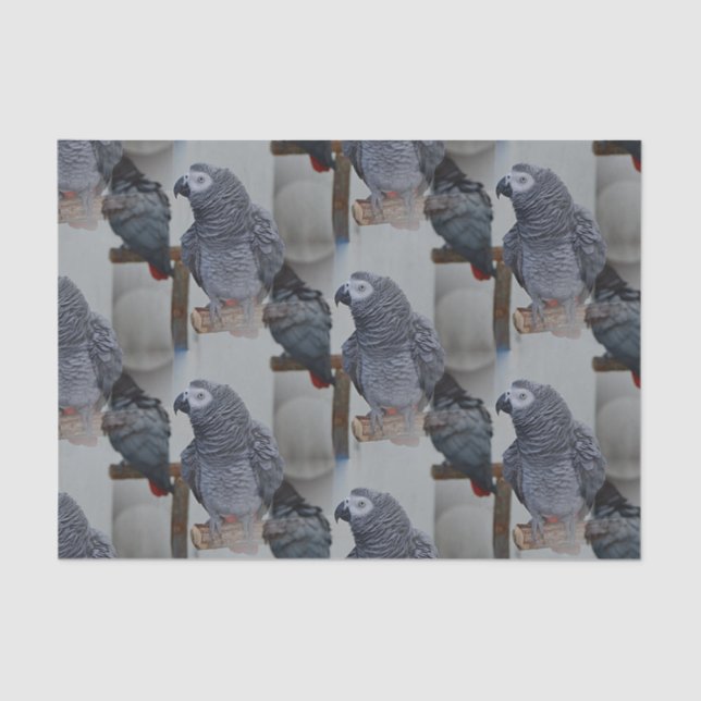 Papel De Seda El loro gris del Congo en espejo (Anverso)