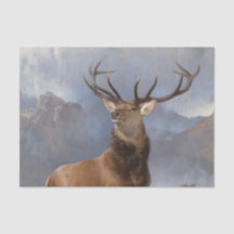 El Monarca del Glen (Estadio Salvaje) (de Landseer