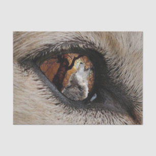 Papel De Seda El ojo del lobo