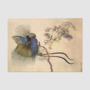 Papel De Seda “El pájaro más hermoso” de Warwick Goble