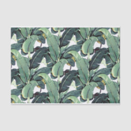 Papel De Seda El plátano sale palma del papel seda tropical 10lb