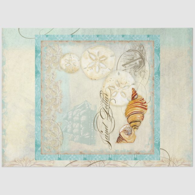 Papel De Seda El Sand Dollar Beach Seashells Seaside Decoupage A (Anverso)