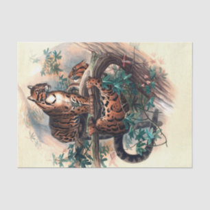 Papel De Seda El tigre nublado por Joseph Wolf