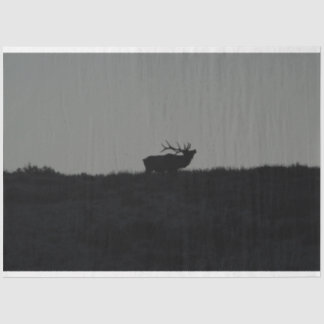 Papel De Seda El último soplo