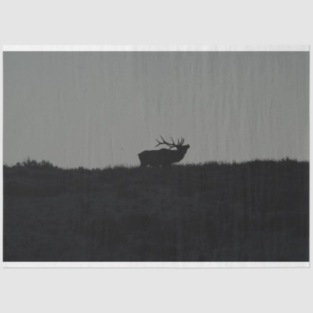 Papel De Seda El último soplo (Anverso)