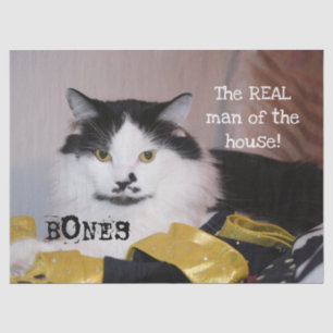 Papel De Seda El verdadero hombre de la casa-Gato-