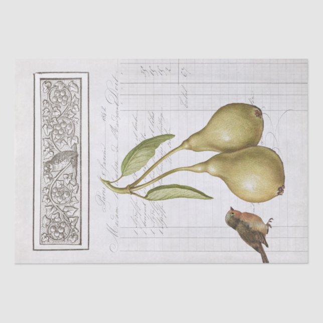 Papel De Seda El viejo Oso Robin Lechuza Francesa deja desconfia (Anverso)