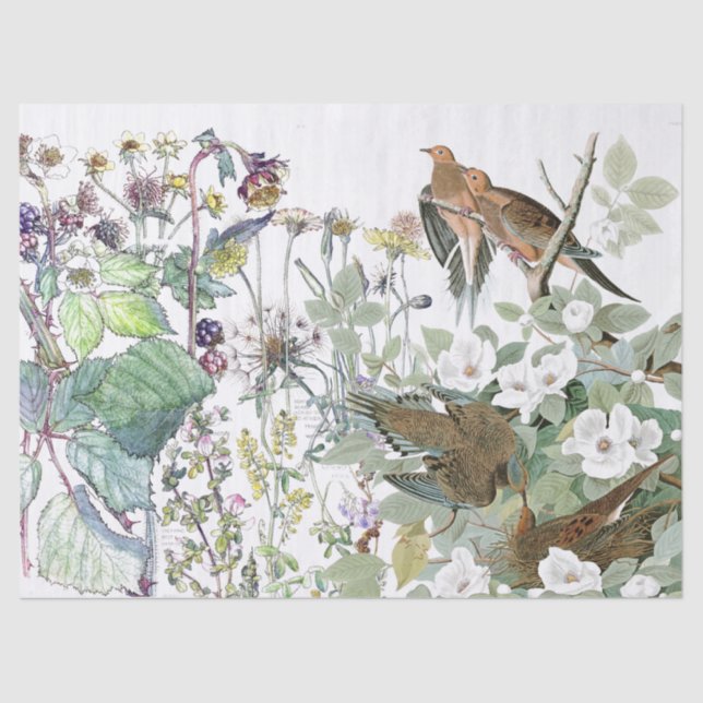 Papel De Seda El Wildflower del pájaro de la paloma de Audubon (Anverso)