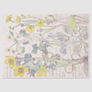 Papel De Seda El Wildflower del ranúnculo florece el papel seda