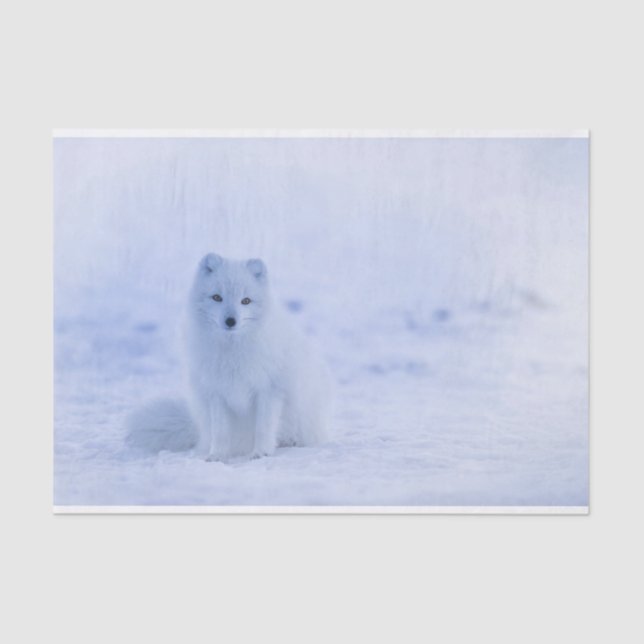 Papel De Seda El zorro ártico lindo en el invierno nevado (Anverso)