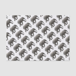 Papel De Seda Elefante Africano