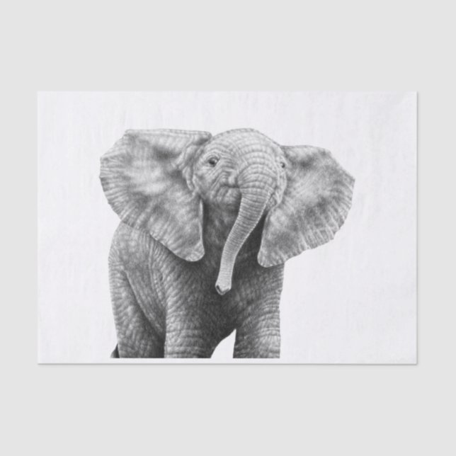 Papel De Seda Elefante africano del bebé (Anverso)