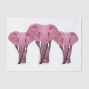 Papel De Seda Elefante rosa