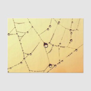 Papel De Seda Elegancia de araña de oro