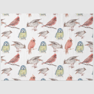Papel De Seda Elegante acuarela vintage de búhos cardenales pája