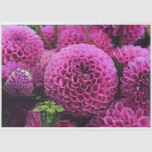 Papel De Seda Elegante floral moderna