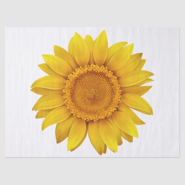 Papel De Seda Elegante floral moderna (Anverso)