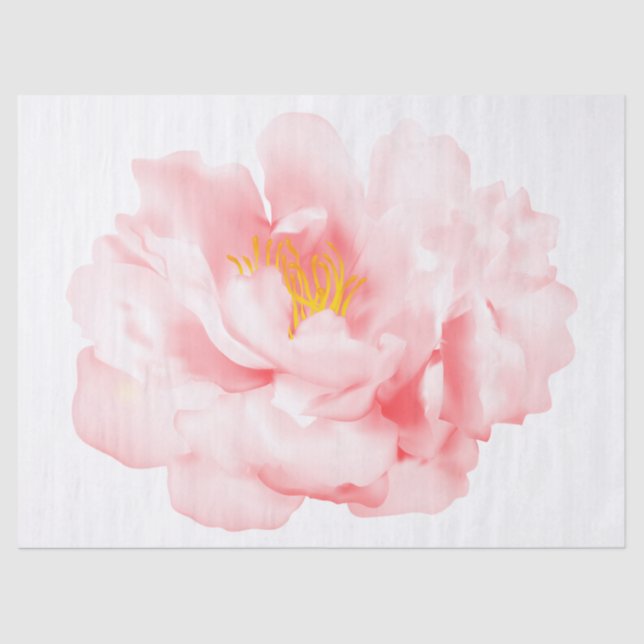 Papel De Seda Elegante floral moderna (Anverso)