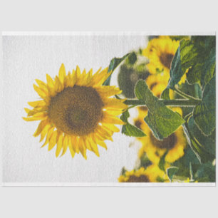 Papel De Seda Elegante floral moderna