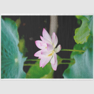 Papel De Seda Elegante floral moderna