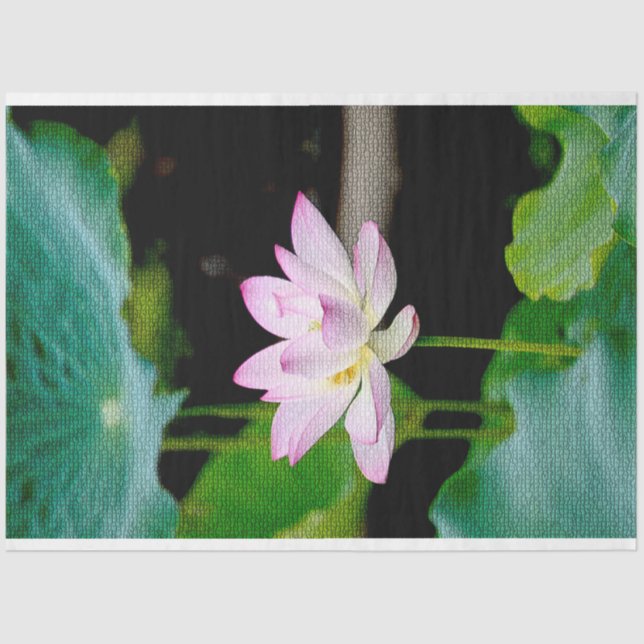 Papel De Seda Elegante floral moderna (Anverso)