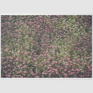 Papel De Seda Elegante floral moderna