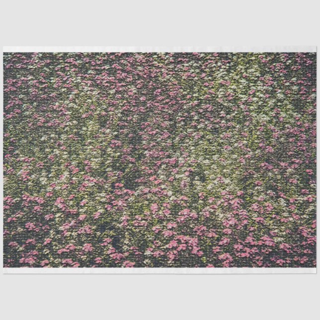 Papel De Seda Elegante floral moderna (Anverso)