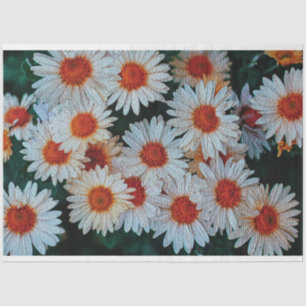 Papel De Seda Elegante floral moderna