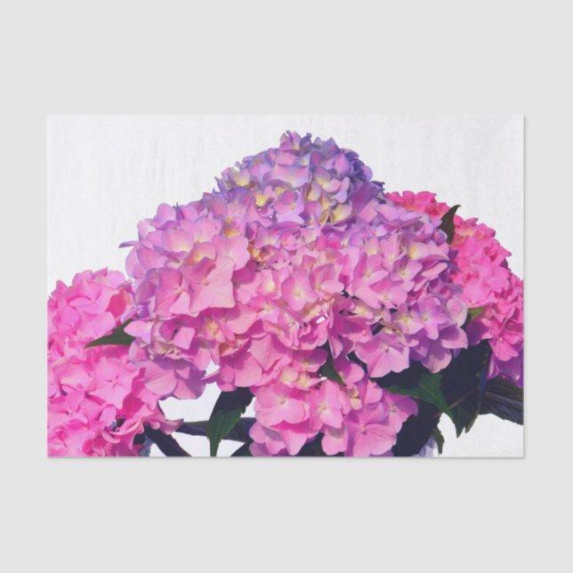 Papel De Seda Elegante floral rosa púrpura hidrangeas (Anverso)