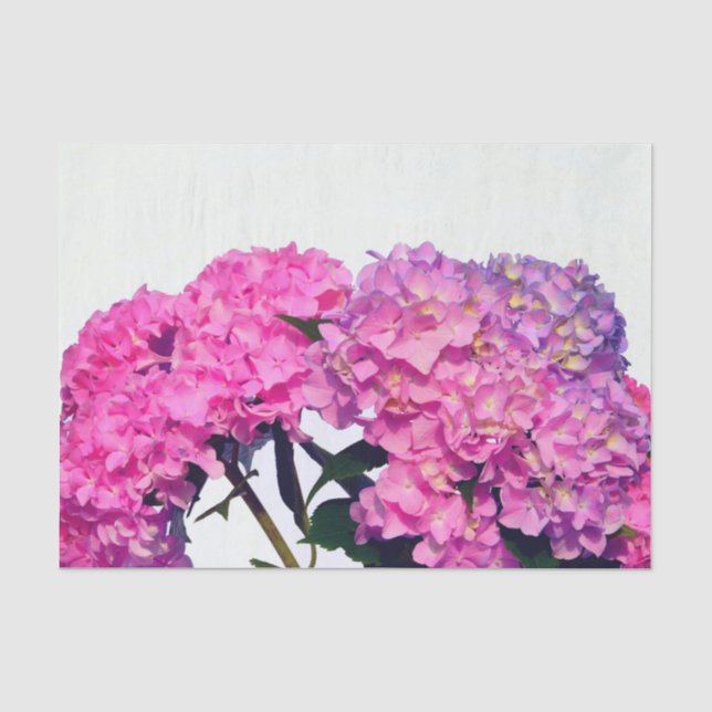 Papel De Seda Elegante floral rosa púrpura hidrangeas (Anverso)