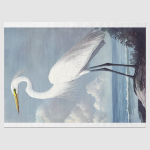 Papel De Seda Elegante Gran Agua Egret Decoupage Bird Art