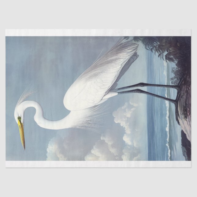 Papel De Seda Elegante Gran Agua Egret Decoupage Bird Art (Anverso)