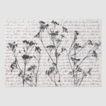 Elegante guión antiguo de siluetas de flores silve