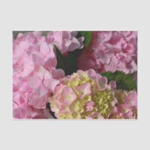 Papel De Seda Elegante hidrangeas rosa y crema de moda