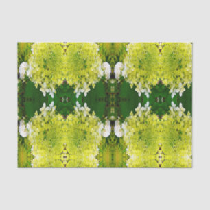Papel De Seda Elegante Hortensia Limelight Verde Chartreuse