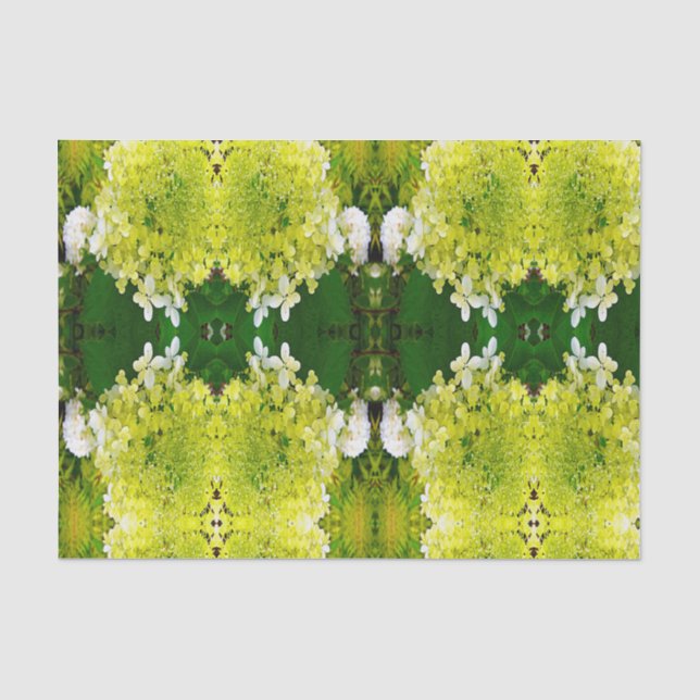 Papel De Seda Elegante Hortensia Limelight Verde Chartreuse (Anverso)
