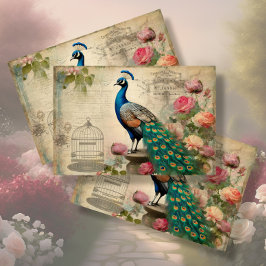 Papel De Seda Elegante Peacock Birdcage Floral Ephemera Decoupag
