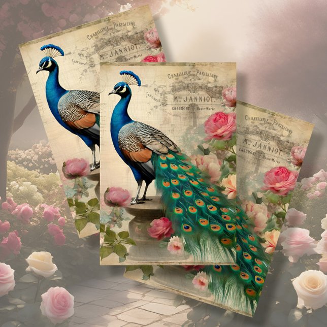 Papel De Seda Elegante Peacock Birdcage Floral Ephemera Decoupag (Subido por el creador)