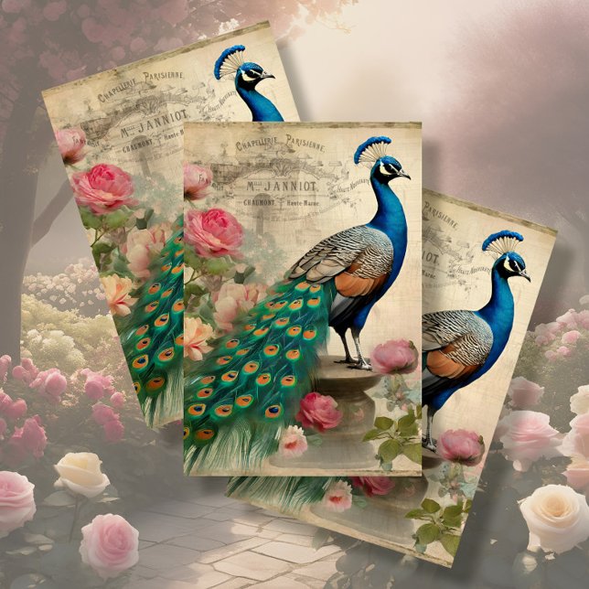 Papel De Seda Elegante Peacock Birdcage Floral Ephemera Decoupag (Subido por el creador)