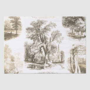 Papel De Seda Elegante Vintage Beige French Country Toile